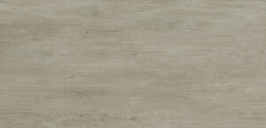 Color winter dala de Neolith