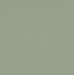 Color posidonia grey de Silestone